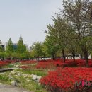 대전시청 이미지