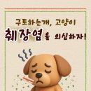영등포 우신종합 동물병원 | 영등포우신종합동물병원에서 알려드리는 강아지 췌장염