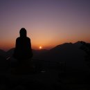 숲속아침 이미지