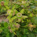 까치슈퍼 이미지