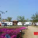 대가야농촌문화체험특구 캠핑장 이미지