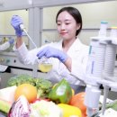 퍼스트 그린푸드 이미지