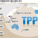 끼리끼리 이미지