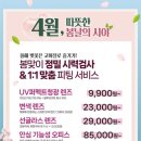 구리으뜸