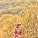 숲으로 떠나는 힐링 여행 | 마음의 숲으로 떠나는 여행: 한국 영화가 전하는 힐링의 순간들