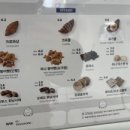 요거트월드단관점