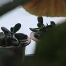 열미리보건진료소 이미지