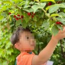 포도나무어린이집 이미지