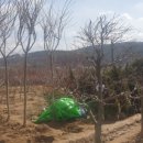 강화군산림조합 이미지