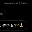 카페베라삼