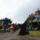 동백쉐이리 이미지