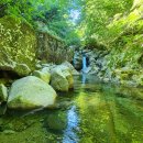 피서농장 이미지