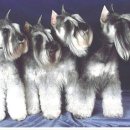 미니어처 우리집 이미지