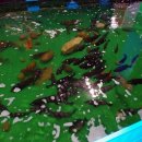 청춘바다낚시 이미지