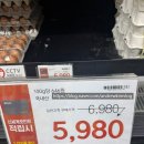 5980 | 노브랜드 계란30구 5,980원 행사에 담아온 날, 요즘 계란값 체감 후기