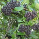 김진득 농장 이미지