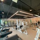 Wayfit PT 네이버블로그