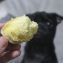 안면도농산 | 아침식단 고구마추천 태안농산 꿀고구마5kg 이만한 게 없네