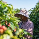 궁산농장 이미지