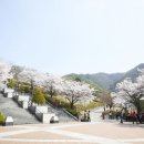 닉피씨카페 이미지