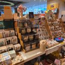 호텔e패션 | [화산딘 호텔, 대만 국립고궁박물관 도슨트 투어, 101 타워] 도슨트 투어 비추 ㅋ (대만 가족여행 3일차)