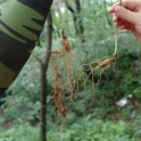 우인호 농장 이미지