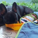 백보한의원 이미지