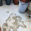 세븐일레븐전주효자원룸점 | 전주 원룸건물 누수 방수 코킹 시공후기