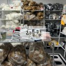 리틀림 이수역 소품샵 인테리어 이사선물 추천 사당놀거리
