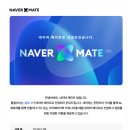 웰니스메이트 | 네이버 메이트 선정 후기 7월 푸드 블로그 루틴 꿀팁 인용수