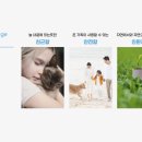 퓨어펫(pure pet) 이미지