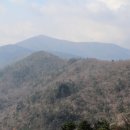 지리산 단풍비 이미지