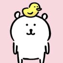 [면접후기]연구실 교수님이 너무 농담곰같은 건에 대하여