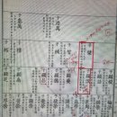 유포리영