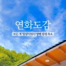 숲속의 연화 펜션 이미지
