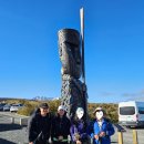 크로싱 | [뉴질랜드 하이킹] 통가리로 알파인 크로싱 후기