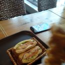 커피콩볶는샌드위치 | 첨단브런치카페 커피콩볶는샌드위치 콩샌첨단점 방문후기