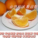 승연농장 이미지