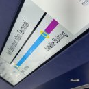 485 | 4) 신혼여행 - 쿠알라룸푸르 경유, 골든라운지, 말레이시아 항공 비즈니스 좌석MH485 후기, 몰디브 도착!😆