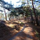 몰운대 등산로 입구 이미지