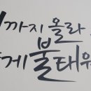 남양복싱클럽 이미지