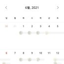 펫플래닛 이미지