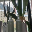 비오텔라피부바디 | 굿모닝 비오텔라 실크 리페어 바디로션