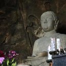 제주 산방산 암벽식물지대 이미지