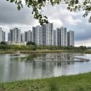 호수공원 이미지