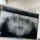 서울조이치과의원 이미지