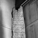 프리지아 B 이미지