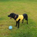 아요하우스 이미지