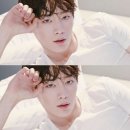 트랩어필 이미지