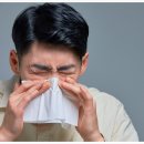 분당연세이비인후과의원 이미지